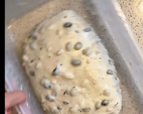 野生酵母面包                           黑豆松子恰巴塔的做法 步骤9