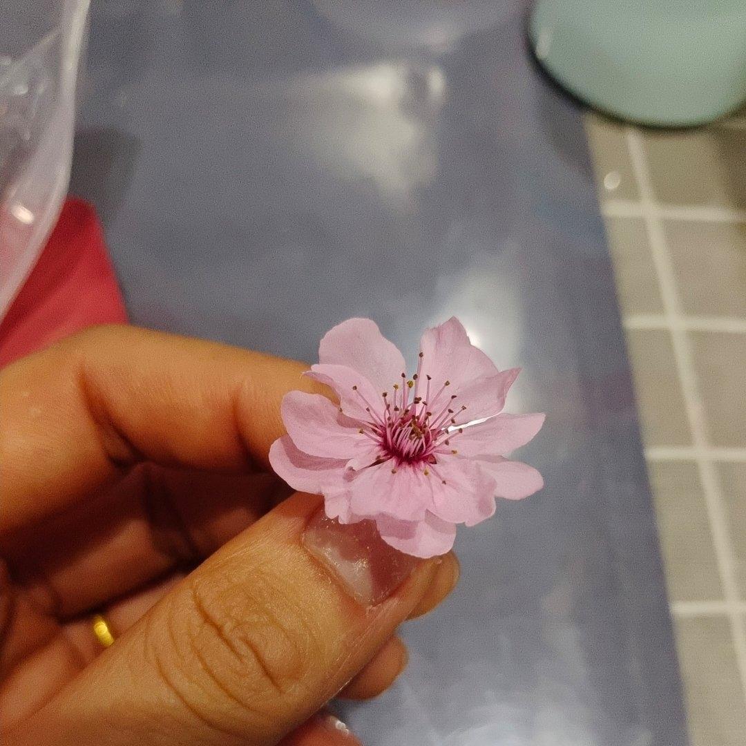 盐渍樱花