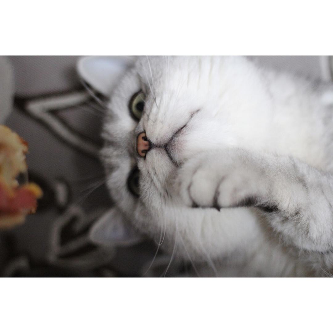 Mr. Dirty 's Breakfast