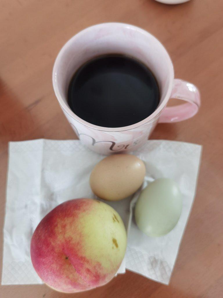 减脂餐打卡