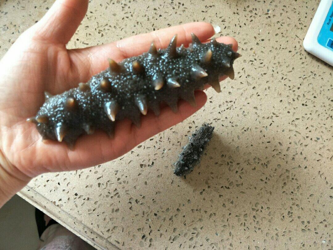 泡发海参的方法