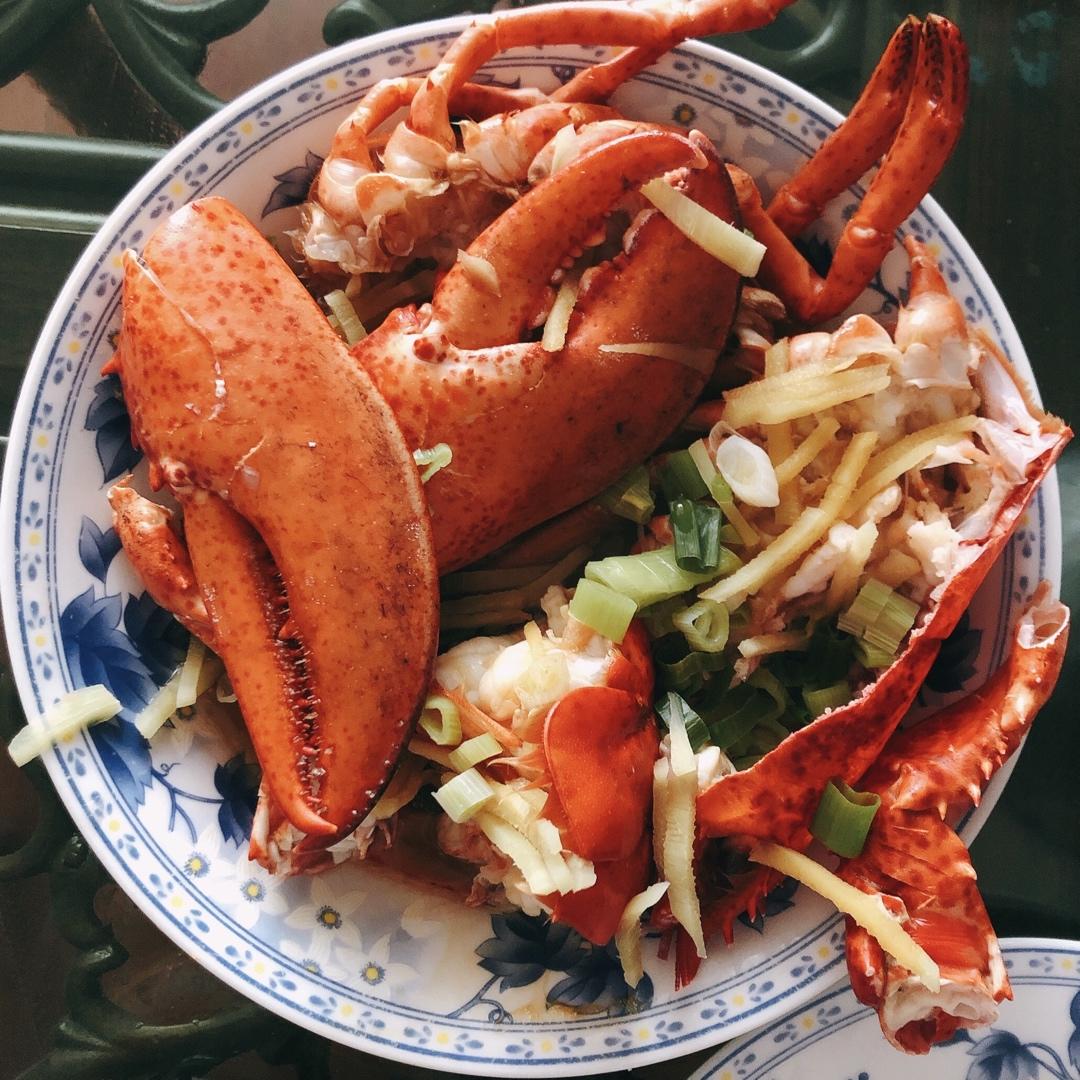 处理波士顿龙虾