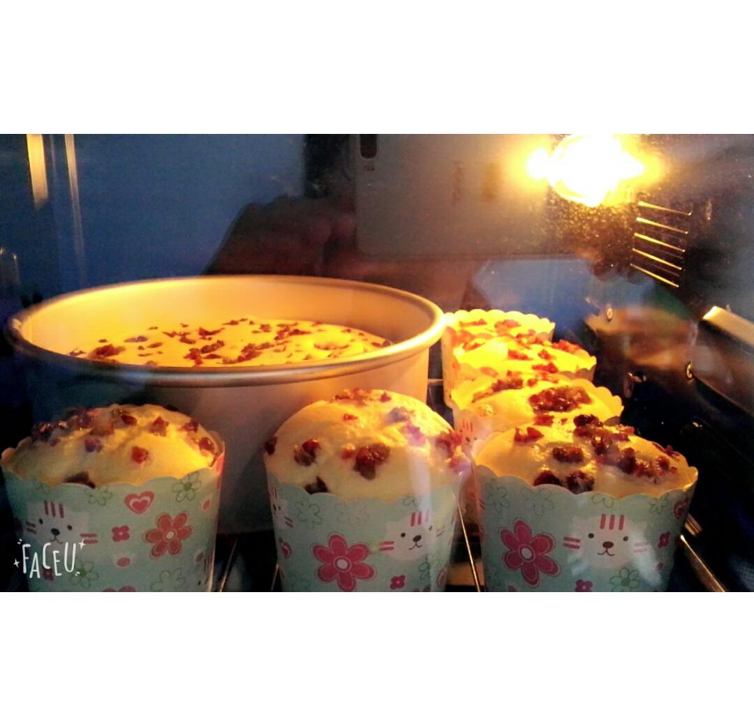 《Tinrry+》戚风蛋糕（6寸配方）（基础、超详细教程）