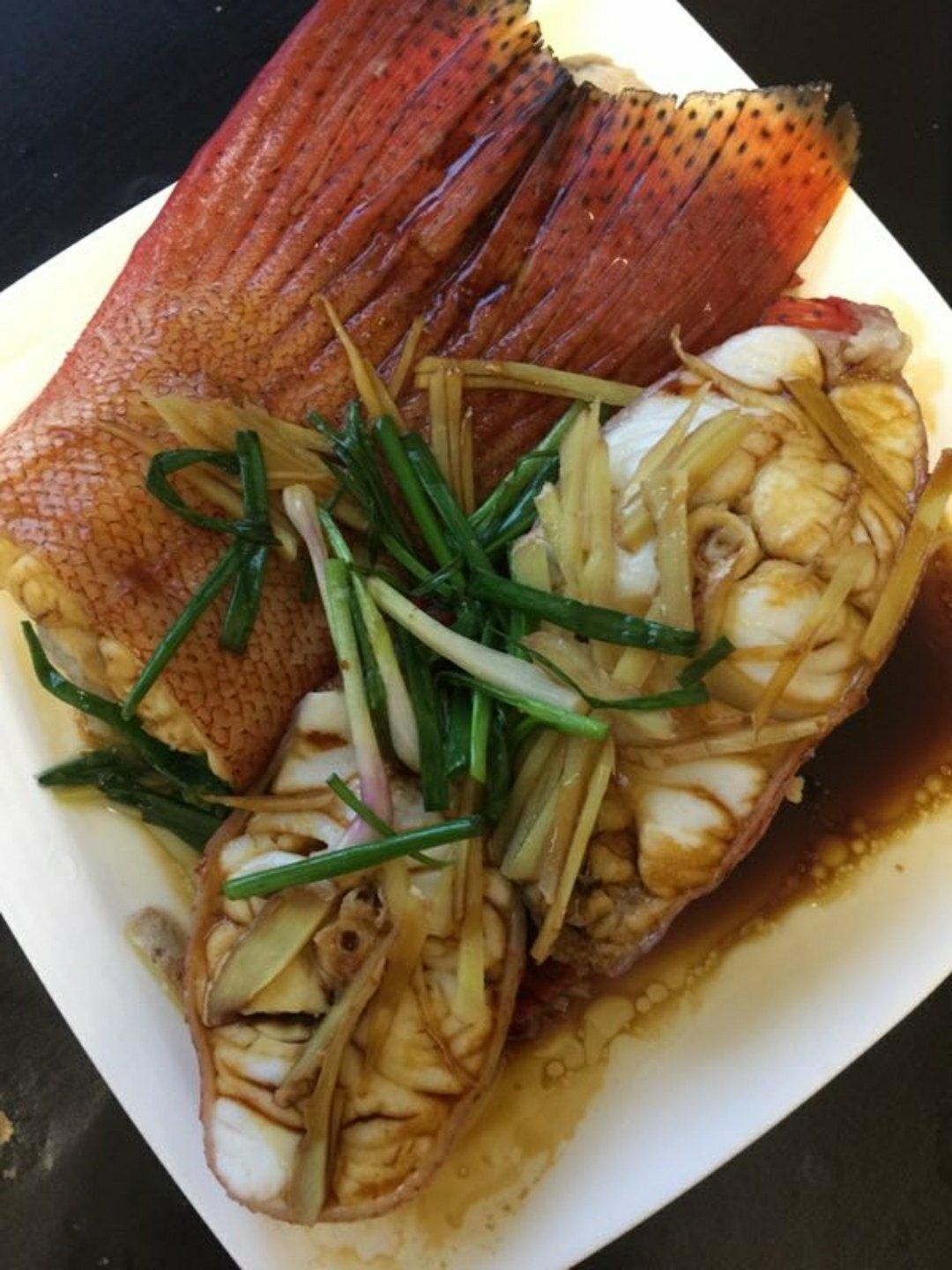 金猫咪食堂-清蒸东星斑