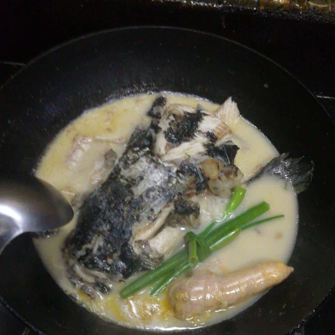 奶白鱼头汤（鲜）