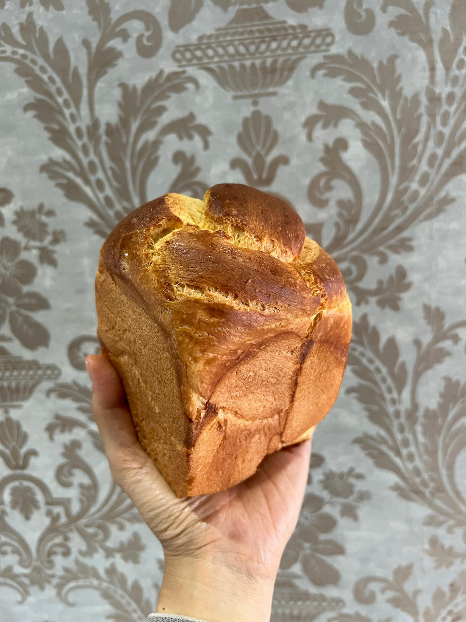 超柔软布里欧修吐司（巧儿版本）