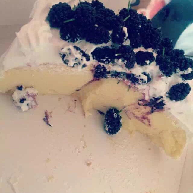 超软的~酸奶蛋糕