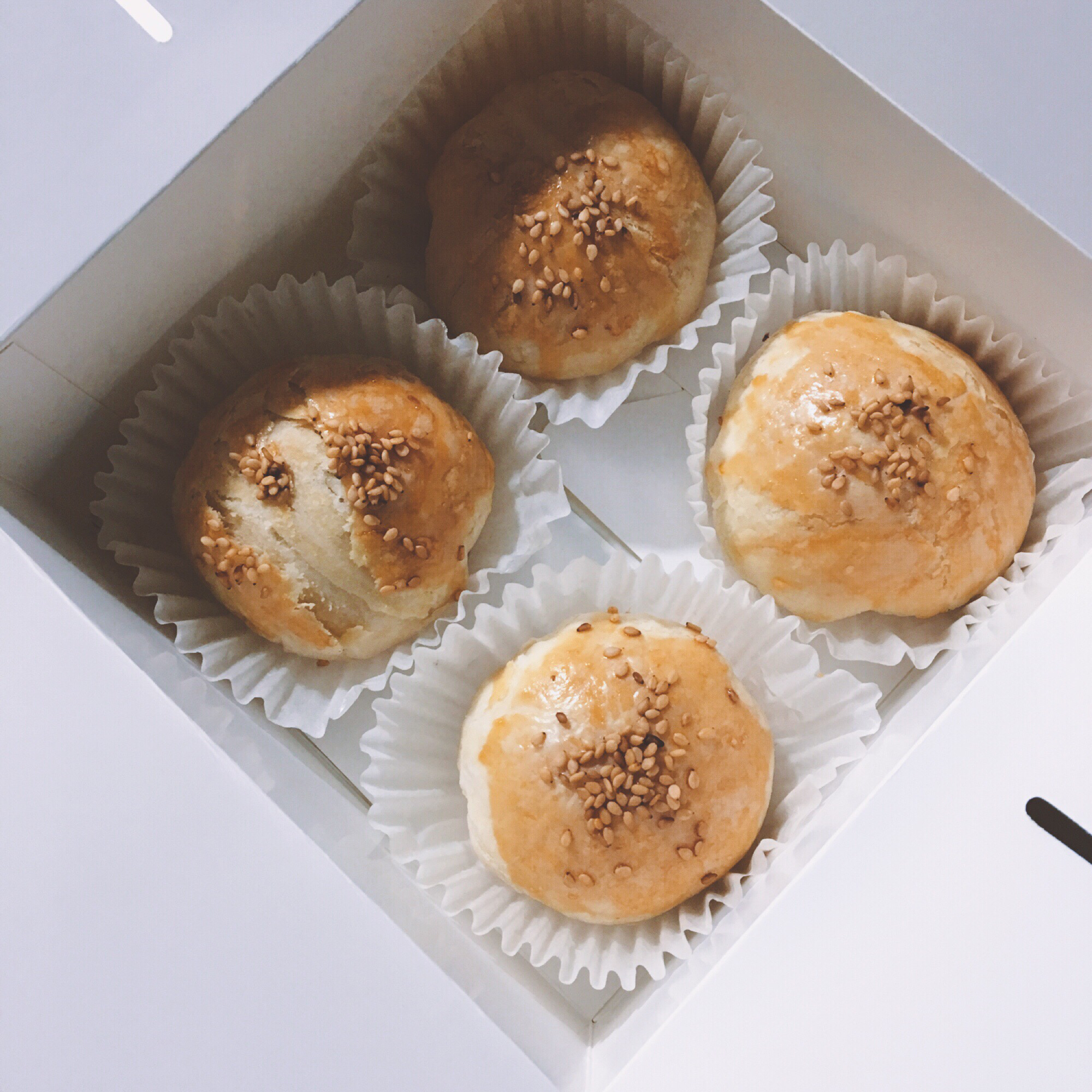 泳式鲜肉榨菜月饼