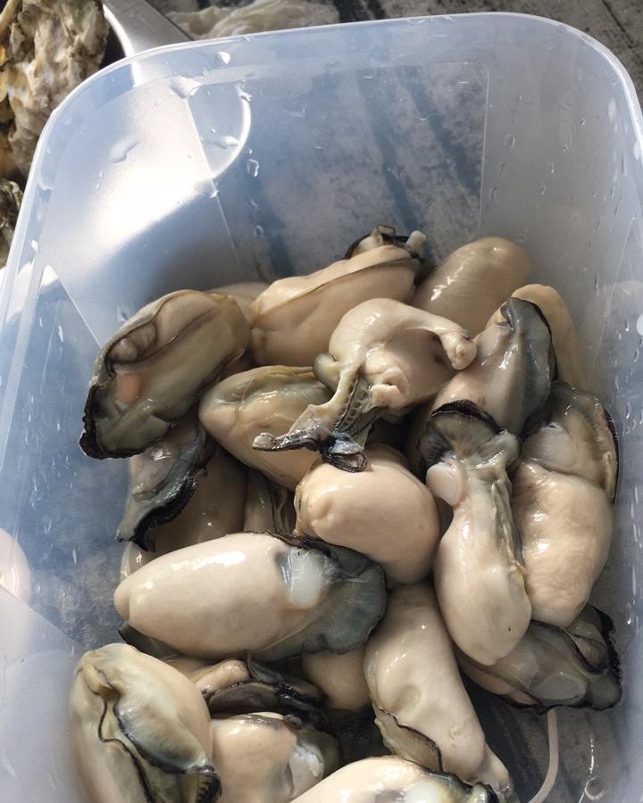 最鲜最嫩的生蚝做法——蒸生蚝🐚