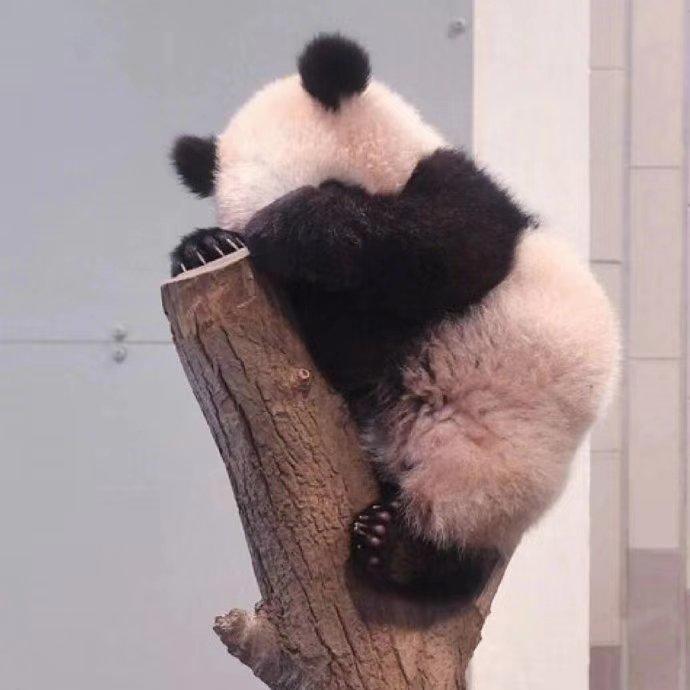 番茄金针菇肥牛
