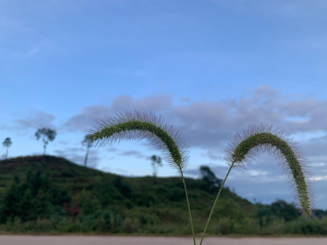 只是这双手合十的厨房