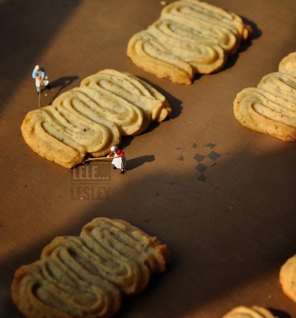 PH大师㊙️香草维也纳酥饼