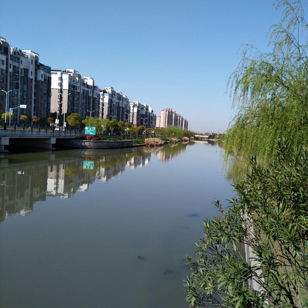 邦邦_妈