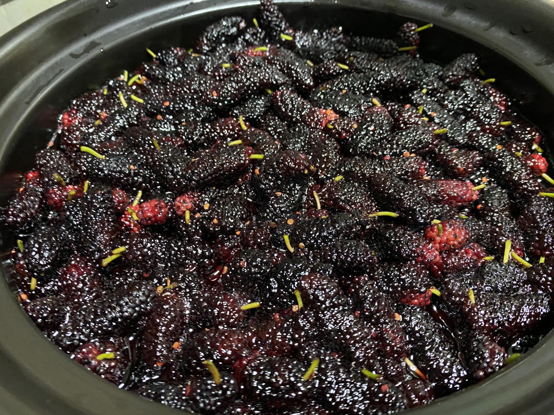 水果酒之桑葚篇