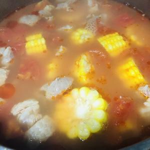 番茄牛腩汤 厨房小白的翻身菜谱的做法 步骤5