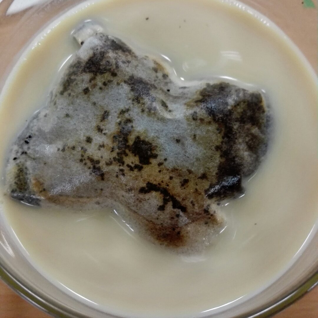 Cold Brew Coffee 冷泡（冷萃）咖啡
