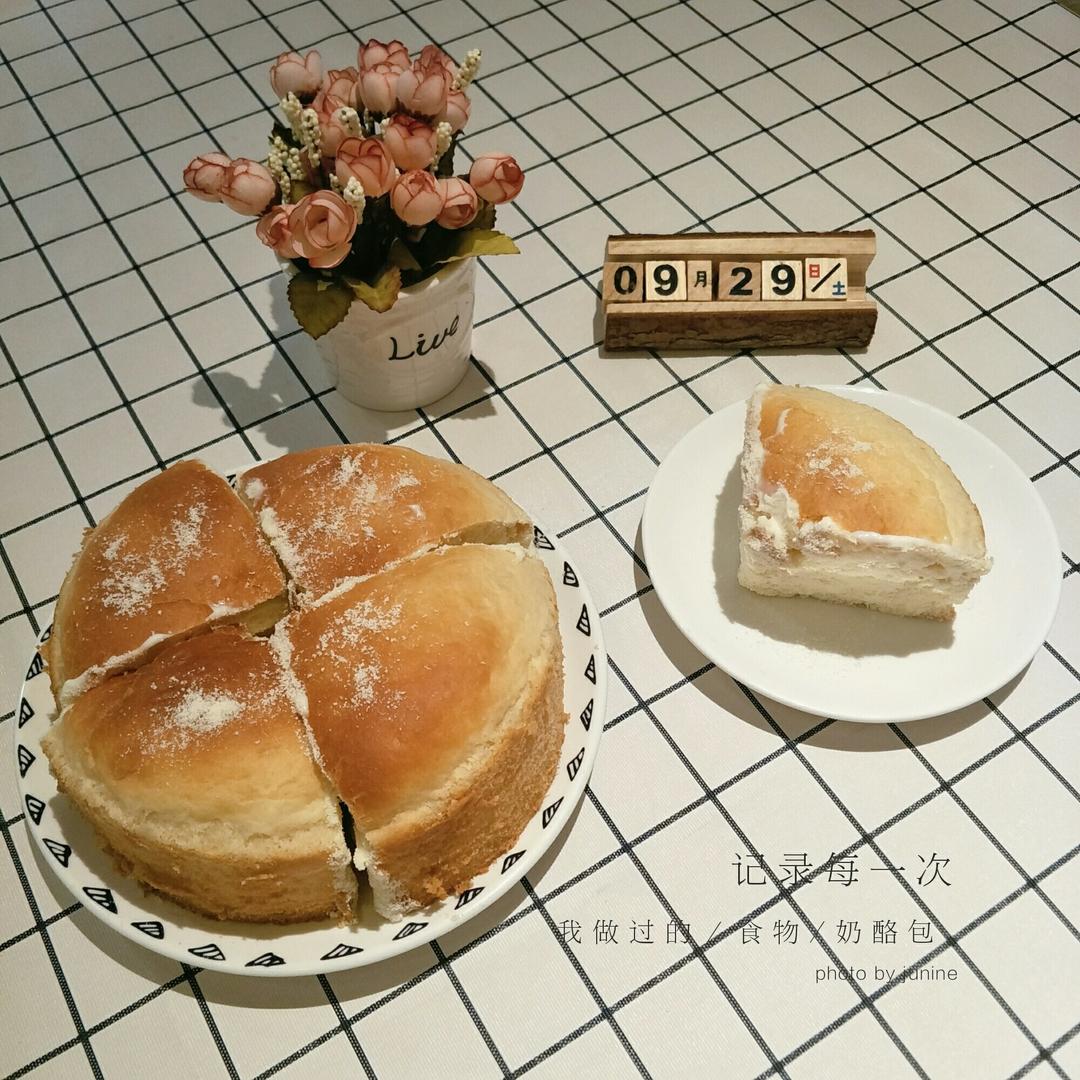 奶酪包---跟风火到一个不行的包包