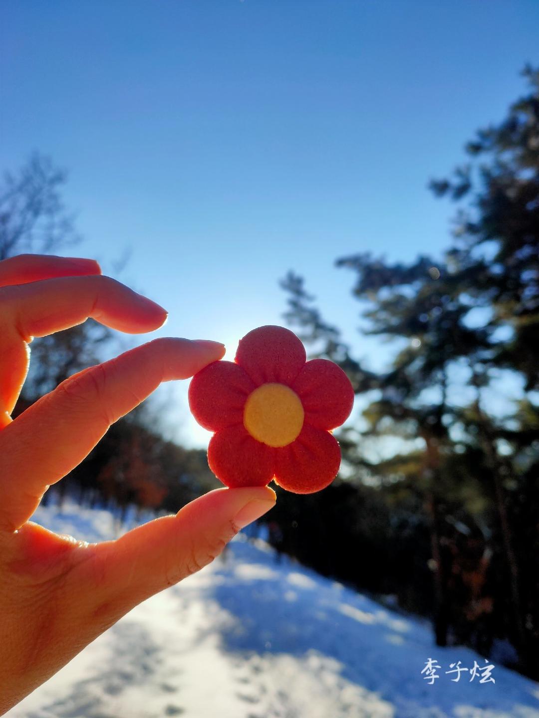 送你一朵小红花——饼干的全部作品