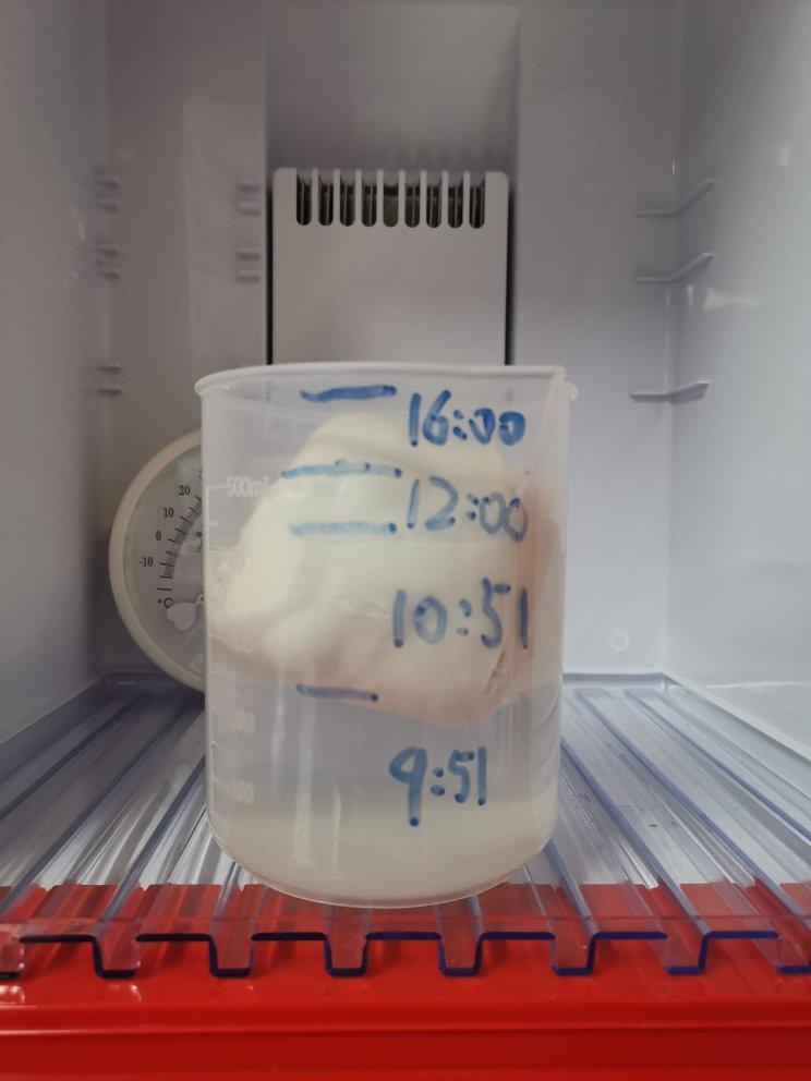 意大利水式酵母（Pasta Madre)