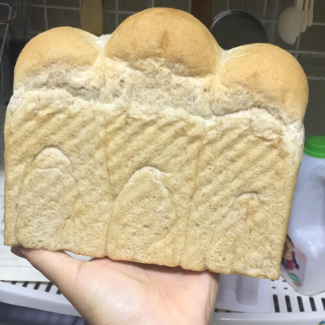 简单全麦吐司