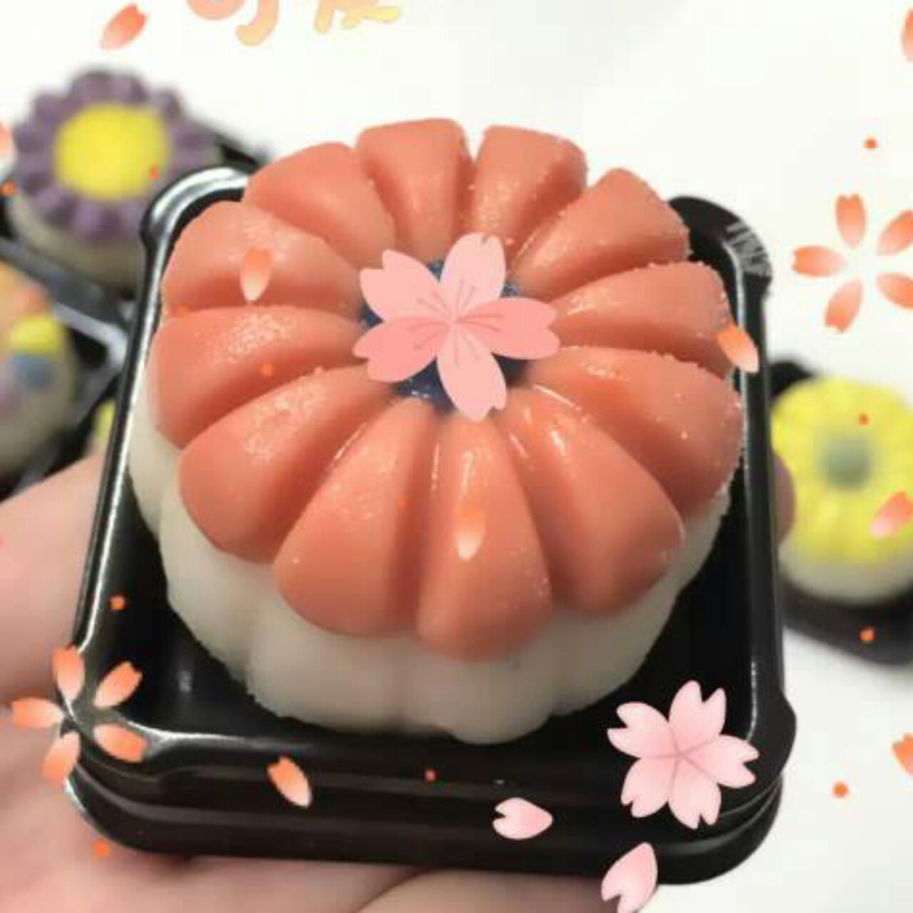 雪芙烘焙