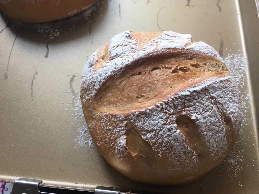 红酒桂圆全麦软欧