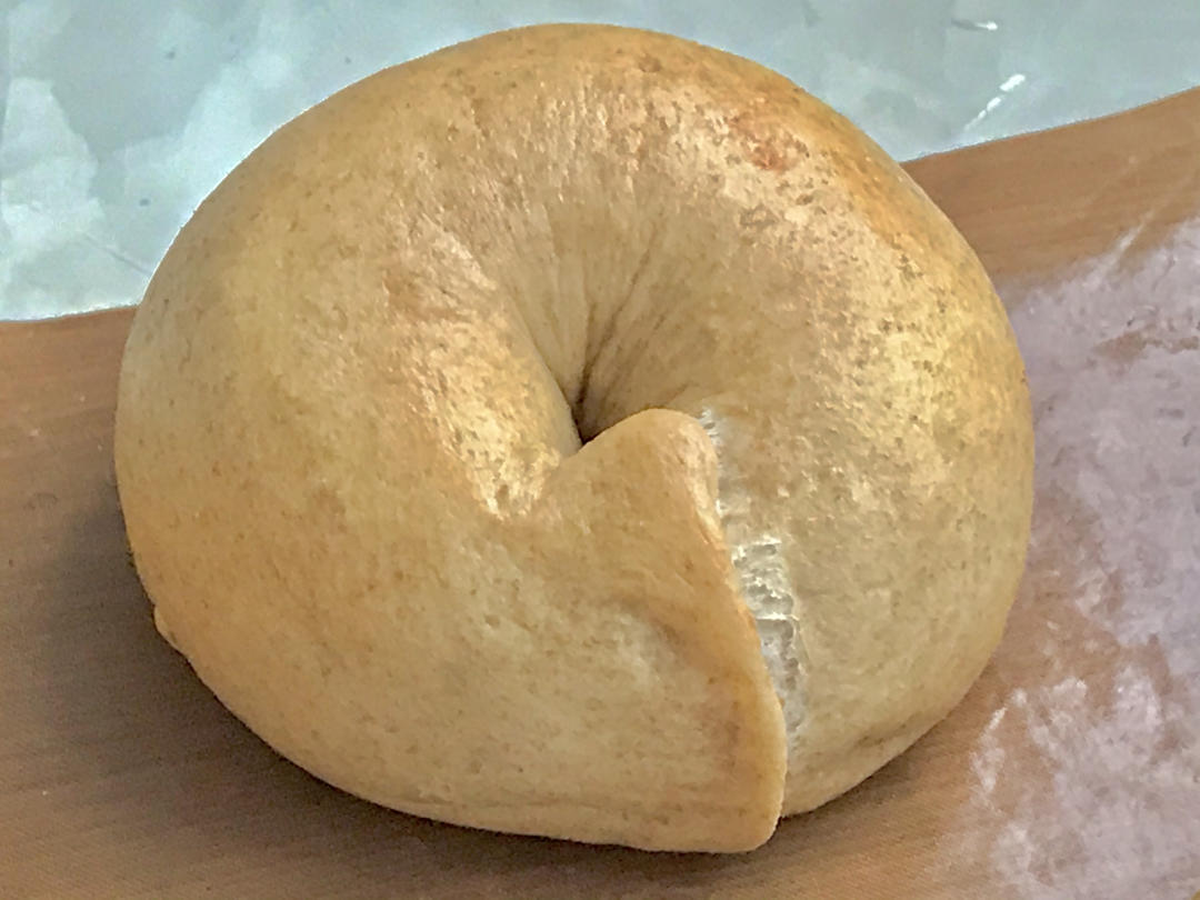 全麦各种贝果