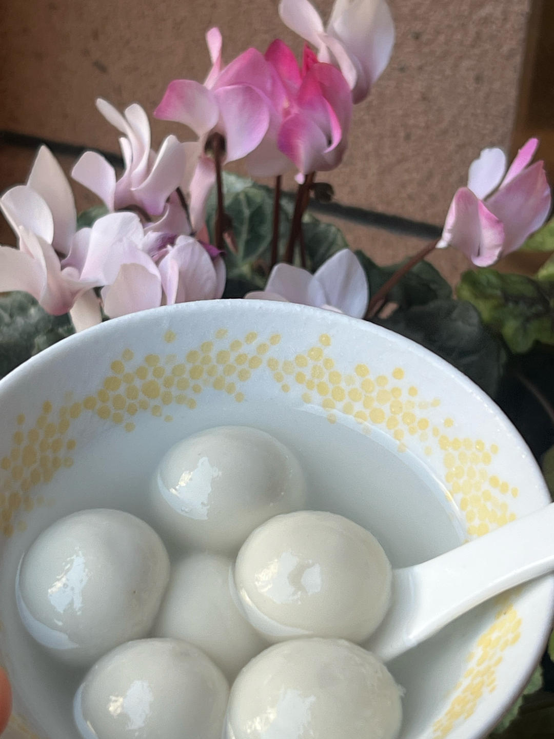 早餐•2026年1月6日