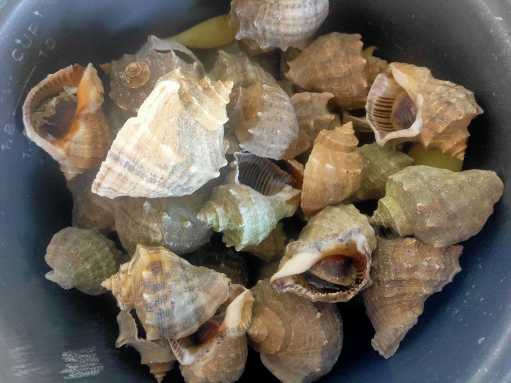 蚝油彩椒白玉菇