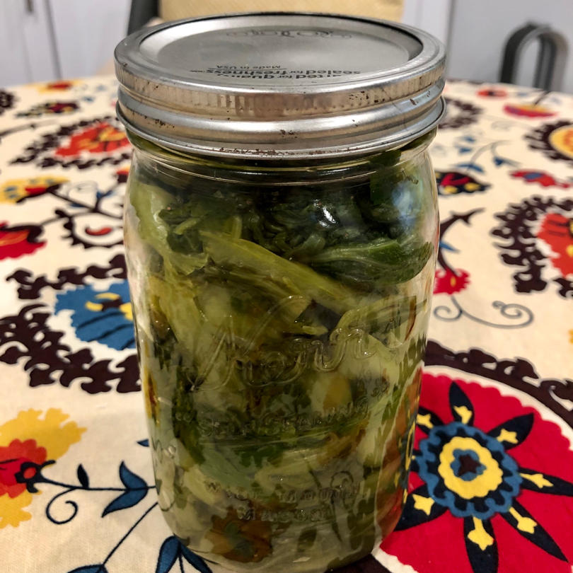 自制酸菜，半天时间就做好的酸菜（上午做，下午就可以吃，健康又美味，简单极了）