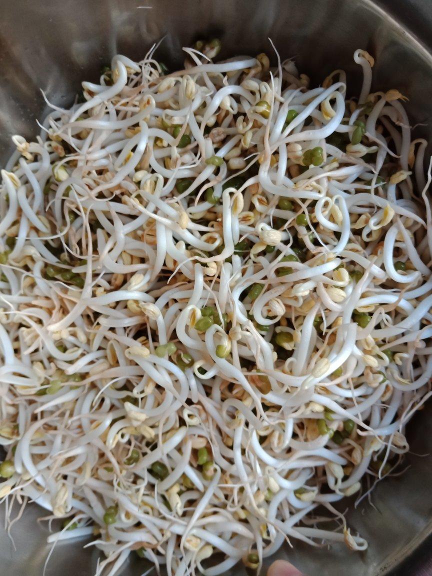 最简便发豆芽