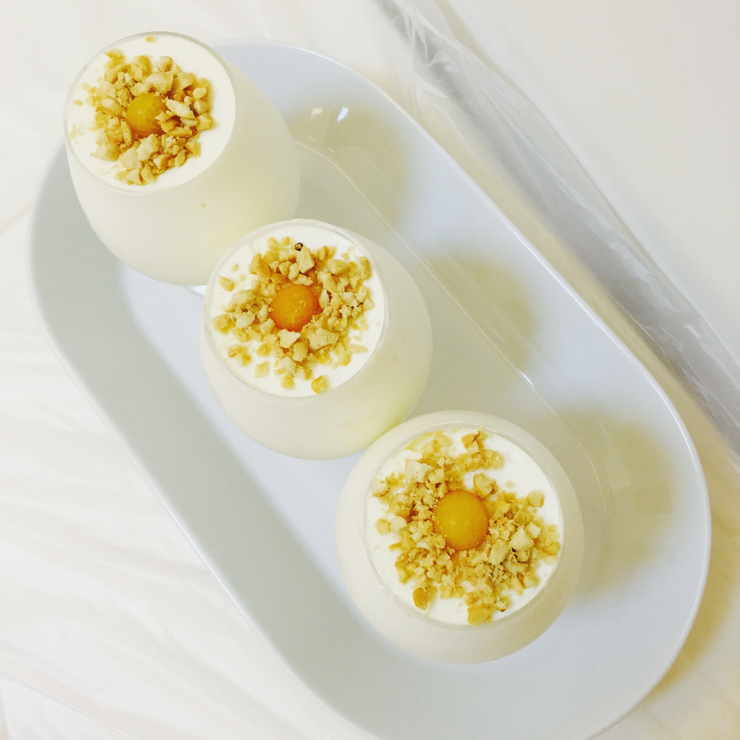 冻酸奶芝士蛋糕