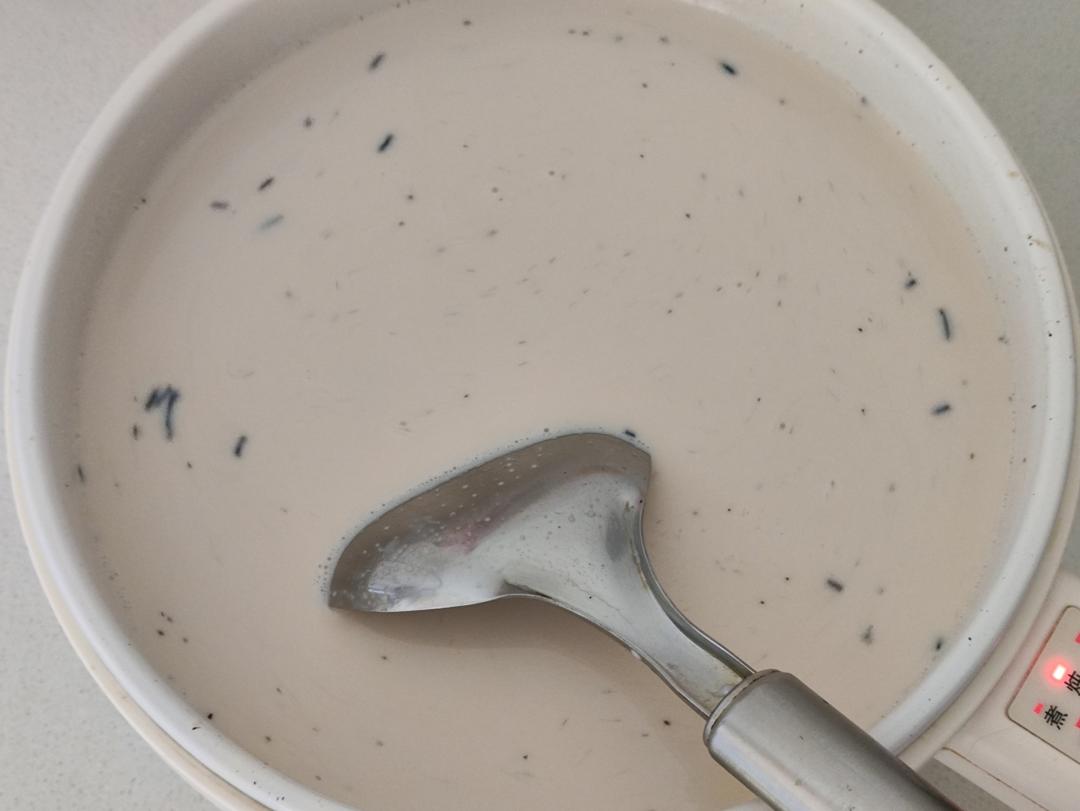 不要点外卖啦，自制奶茶，超简单