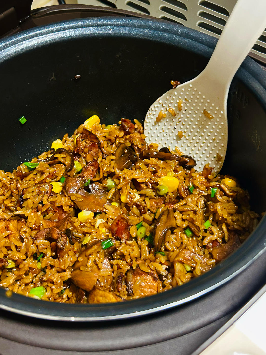 牛肝菌五花肉腊肠焖饭（自用无图）