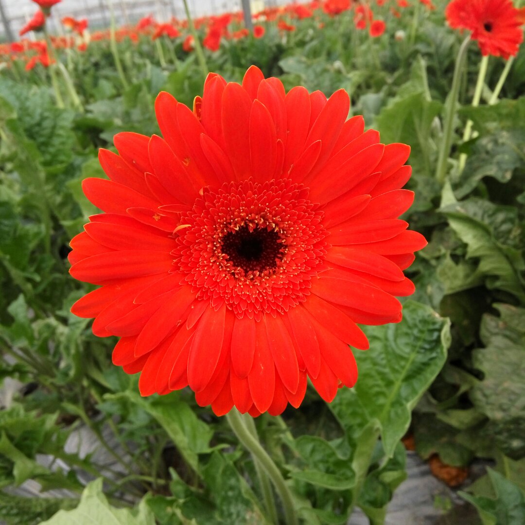 手机用户9326_efqn的厨房