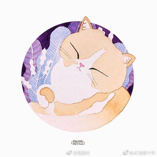 南瓜喵呜