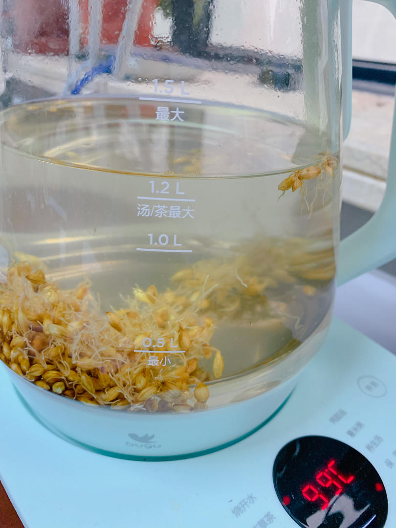 最适合春天喝的生麦芽茶