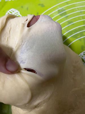 奶香松软面包不出手膜也松软的做法 步骤5