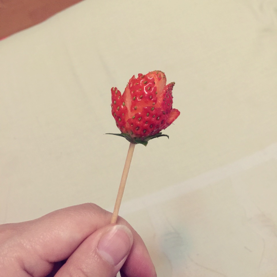 草莓玫瑰花