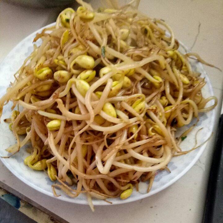 炒黄豆芽