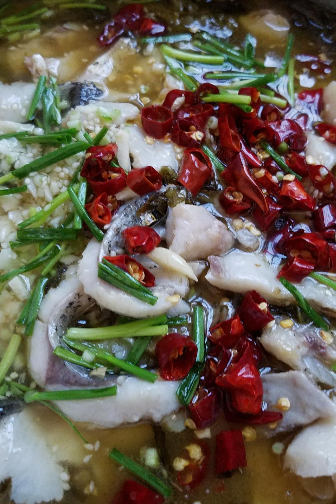 易烦了的春天做的家常酸菜鱼