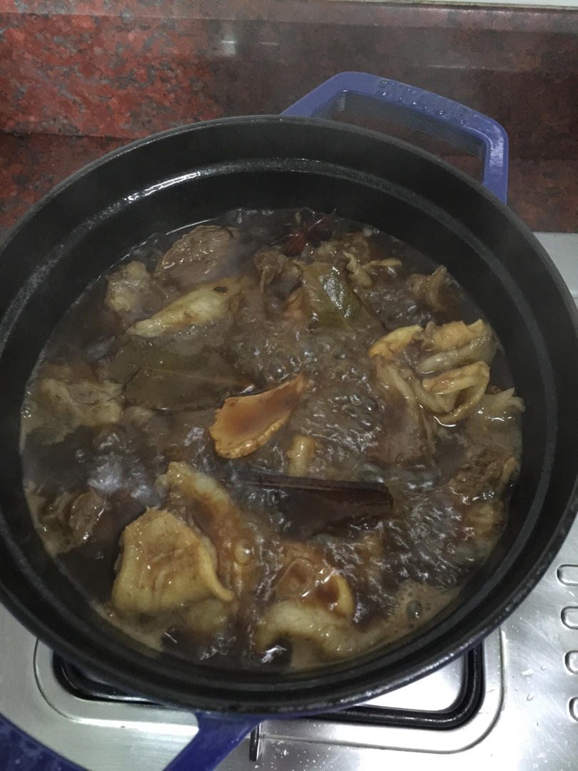 红烧牛腩~好吃到舔嘴