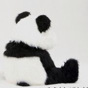 风若吹吹吹