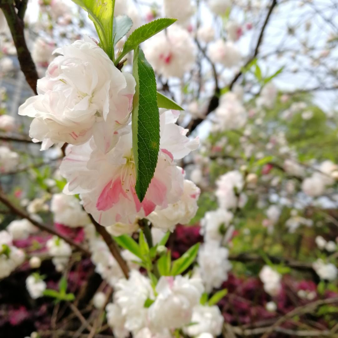 你爱好的是最好的