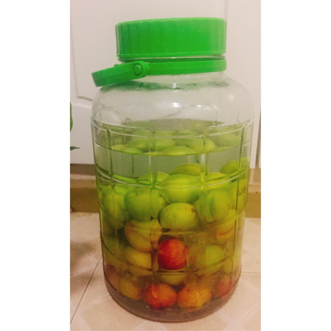 【青梅酒】梅子的沉醉时光（已填坑）