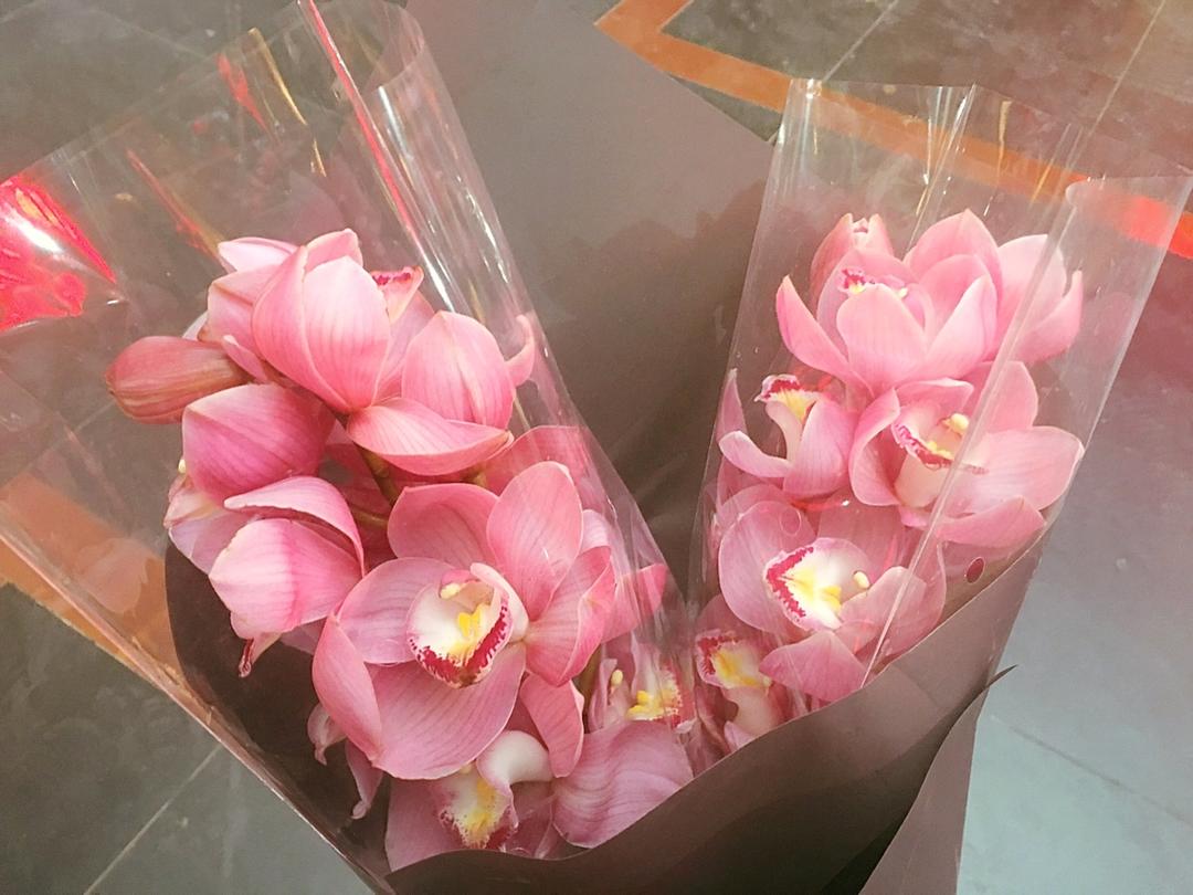 蓝蓝爱花花