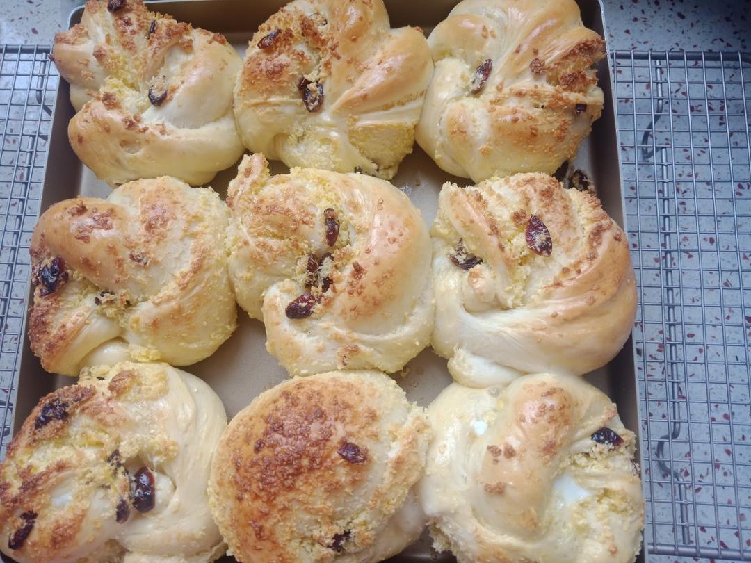 蔓越莓椰蓉面包（手揉版）