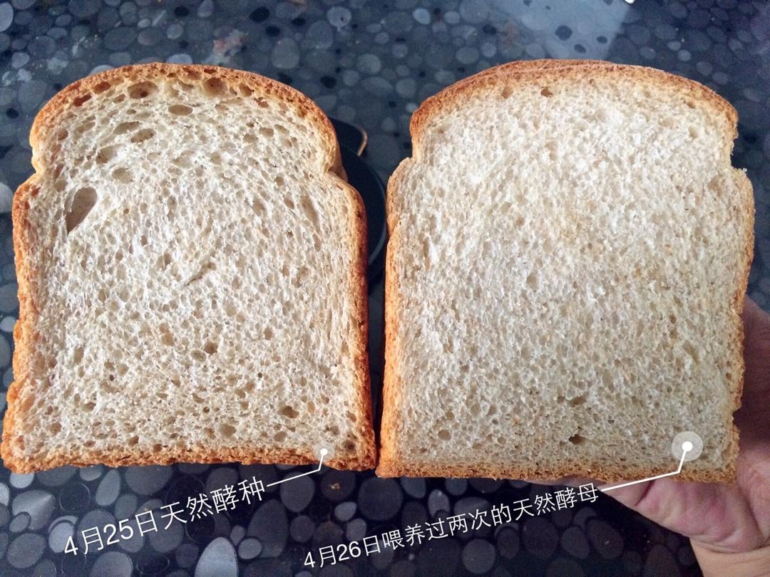 天然酵种全麦吐司