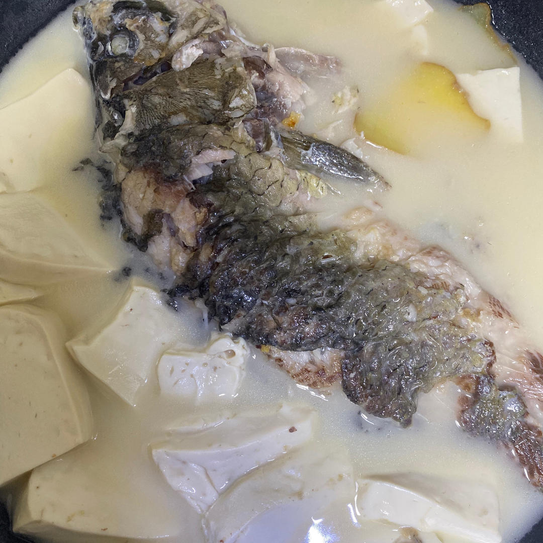 奶白鲫鱼豆腐汤|一条鱼最后的温柔