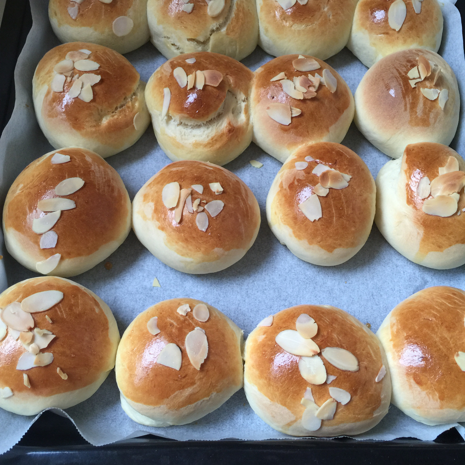 鲜奶油小餐包（一次发酵）